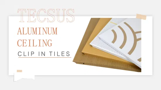 Заводская цена звукоизоляционный алюминиевый потолок для украшения офиса с CE (TECSUS